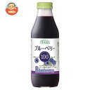 マルカイ 順造選 ブルーベリー100 500ml瓶×12本入×(2ケース)| 送料無料 100% 果汁 ジュース ブルーベリー フルーツ 果実
