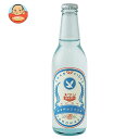 友桝飲料 スワンサイダー(復刻版) 330ml瓶×24本入×(2ケース)| 送料無料 サイダー ソーダ 炭酸 スパークリング