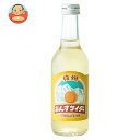 友桝飲料 信州杏サイダー 245ml瓶×24本入×(2ケース)| 送料無料 サイダー 杏 ソーダ 炭酸 スパークリング あんず