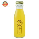 友桝飲料 カステラサイダー 95ml瓶×2本×24箱入×(2ケース)| 送料無料 炭酸飲料 瓶