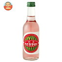友桝飲料 熊本すいかサイダー 245ml瓶×24本入×(2ケース)| 送料無料 サイダー ソーダ 炭酸 スパークリング スイカ 果汁