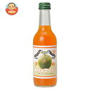 友桝飲料 夕張メロンサイダー 245ml瓶×24本入×(2ケース)| 送料無料 サイダー ソーダ 炭酸 スパークリング メロン 夕張メロン 果汁