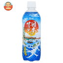 チェリオ 日本のサイダー 500mlペットボトル×24本入×(2ケース)| 送料無料 炭酸飲料 サイダー PET