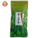 山城物産 宇治の緑茶 100g×30袋入| 送料無料 嗜好品 茶飲料 茶葉 緑茶 袋