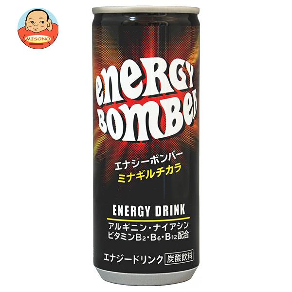 宝積飲料 エナジーボンバー 250ml缶×30本...の商品画像