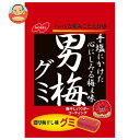 ノーベル製菓 男梅グミ 38g×6袋入×(2ケース)| 送料無料 うめ 駄菓子 お菓子 ぐみ