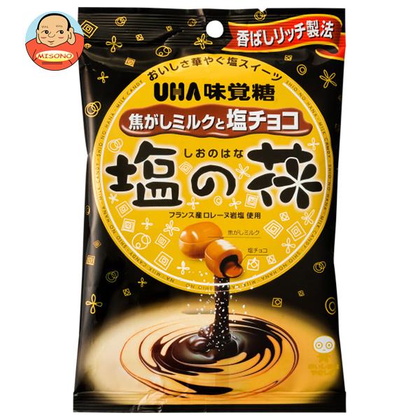 UHA味覚糖 塩の花 焦がしミルクと塩チョコ 80g×6袋入｜ 送料無料 お菓子 飴・キャンディー あめ アメ 塩 こうじのサムネイル