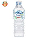 ブルボン 天然名水 出羽三山の水 500mlペットボトル×24本入×(2ケース)| 送料無料 ミネラルウォーター 国内名水 軟水 PET 水