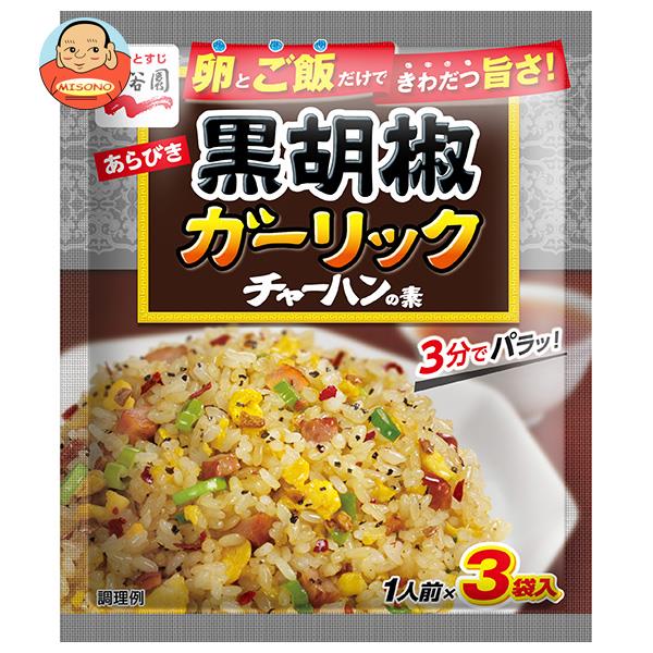 【6月22日(水)20時〜全品対象エントリー&購入でポイント5倍】永谷園 あらびき黒胡椒ガーリックチャーハンの素 23.1g×10袋入｜送料無料 一般食品 調味料 粉末 焼飯 炒飯