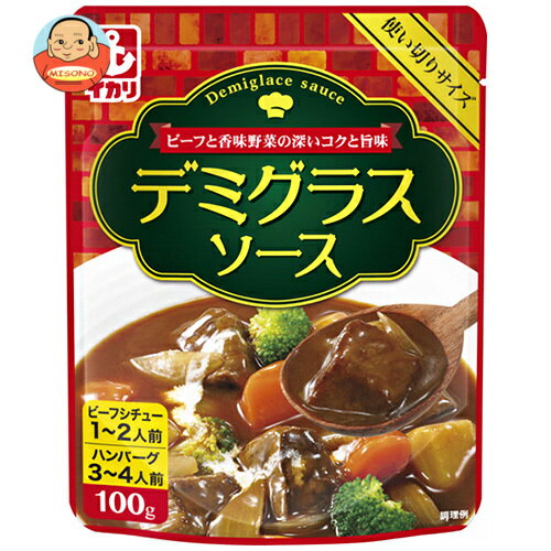 イカリソース デミグラスソース 100g×10本入×(2ケース)| 送料無料 一般食品 調味料 ソース デミグラス