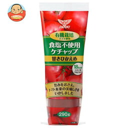 ハグルマ 有機栽培トマト使用 食塩不使用ケチャップ 290g×20本入×(2ケース)｜ 送料無料 調味料 ケチャップ トマトケチャップ