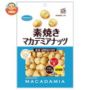 共立食品 素焼きマカデミアナッツ 徳用 100g×12袋入｜ 送料無料 お菓子 おつまみ ナッツ 1