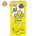 キッコーマン 豆乳飲料 バナナ 1000ml紙パック×12(6×2)本入| 送料無料 豆乳 キッコーマン バナナ 1l 紙パック