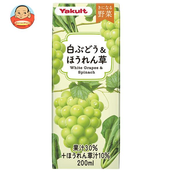 【10月9日(月)1時59分まで全品対象エントリー&購入でポイント5倍】ヤクルト きになる野菜 白ぶどう＆ほうれん草 200ml紙パック×24本入×(2ケース)｜ 送料無料 野菜 果汁 野菜ジュース 紙パックのサムネイル