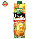 カゴメ 野菜生活100 Smoothie ビタミンスムージー 1000g紙パック×6本入×(2ケース)｜ 送料無料 カゴメ 野菜ジュース スムージー 野菜 野..