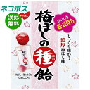 ネコポス ノーベル製菓 梅ぼしの種飴 30g×6袋入| 全国送料無料 お菓子 あめ キャンディー 袋 うめ
