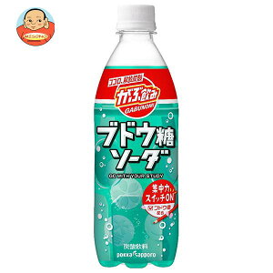 【2月11日(土)1時59分まで全品対象エントリー&購入でポイント10倍】ポッカサッポロ がぶ飲み ブドウ糖ソーダ 500mlペットボトル×24本入｜ 送料無料 炭酸 ソーダ ブドウ糖 ペットボトル 炭酸飲料