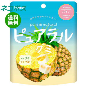 【全国送料無料】【ネコポス】カバヤ ピュアラルグミ パイン 58g×8袋入｜ お菓子 グミ 袋 パイン PURERAL