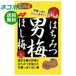 【全国送料無料】【ネコポス】ノーベル製菓 はちみつ男梅ほし梅 20g×6袋入｜ お菓子 うめ 袋