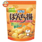 【送料無料・メーカー/問屋直送品・代引不可】ぼんち ぼんち揚 チャック付 100g×12袋入｜ お菓子 おつまみ せんべい 袋