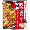 イチビキ ベジゴロおかず 赤から 肉野菜炒めの素 245g×10袋入×(2ケース)| 送料無料 赤から 料理の素