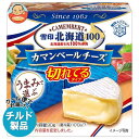 【チルド(冷蔵)商品】雪印メグミルク 雪印北海道100 カマンベールチーズ 切れてるタイプ 90g(6個入り)×10箱