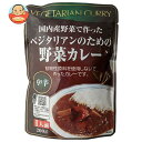 桜井食品 ベジタリアンのための野菜カレー 200g×20袋入| 送料無料 カレー レトルト 野菜カレー レトルトカレー