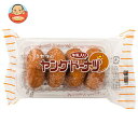 宮田製菓 ヤングドーナツ 4個×20袋入×(2ケース)| 送料無料 お菓子 ドーナツ おやつ おかし