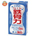 九州乳業 鉄骨力 125ml紙パック×36本入×(2ケース)｜ 送料無料 豆乳・乳性飲料 乳性 乳飲料 カルシウム 鉄