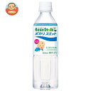 雪印ビーンスターク ビーンスターク ポカリスエット 500mlペットボトル×24本入×(2ケース)| 送料無料 ポカリ 水分補給 ベビー 赤ちゃん