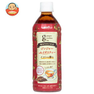 サーフビバレッジ ジンジャールイボスティー 500mlペットボトル×24本入｜ 送料無料 お茶飲料 清涼飲料水 ブレンド茶 PET