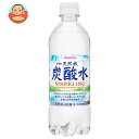 サンガリア 伊賀の天然水 炭酸水 500mlペットボトル 24本入｜ 送料無料 炭酸飲料 炭酸水 ソーダ 割り材 PET