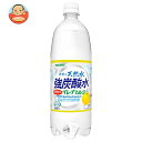 サンガリア 伊賀の天然水 強炭酸水 グレープフルーツ 1Lペットボトル 12本入｜ 送料無料 炭酸飲料 炭酸水 ソーダ PET