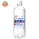 サンガリア 伊賀の天然水 強炭酸水 500mlペットボトル×24本入｜ 送料無料 炭酸飲料 炭酸水 ソーダ 割り材 PET 強炭酸