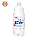 サンガリア 伊賀の天然水 強炭酸水 1Lペットボトル×12本入×(2ケース)｜ 送料無料 炭酸飲料 炭酸水 強炭酸 PET