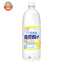 サンガリア 伊賀の天然水 強炭酸水 レモン 1Lペットボトル 12本入｜ 送料無料 炭酸飲料 炭酸水 強炭酸 PET