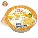 かぼちゃプリン ホリカフーズ 栄養支援 かぼちゃのプリン 54g×36個入｜ 送料無料 健康食品 栄養補給 プリン