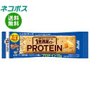 【全国送料無料】【ネコポス】アサヒグループ食品 1本満足バー プロテインベイクドチーズ 1本×9本入｜ チーズケーキ お菓子 栄養 たんぱく質