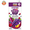 カゴメ 野菜生活100パープル (3倍濃縮) 1L紙パック×6本入| 送料無料 野菜 野菜ミックス 業務用 希釈用 紫