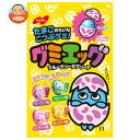 ノーベル製菓 グミエッグ 40g×6袋入×(2ケース)| 送料無料 お菓子 グミ キャンディ 袋