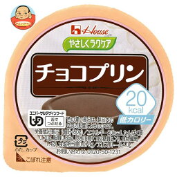 ハウス食品 やさしくラクケア 20kcal チョコプリン 60g×48個入×(2ケース)｜ 送料無料 プリン ラクケア チョコ デザート カロリー調整食