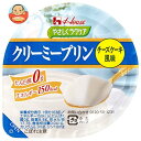 ハウス食品 やさしくラクケア クリーミープリン チーズケーキ風味 63g×48個入×(2ケース)| 送料無料 ラクケア プリン チーズケーキ おやつ デザート