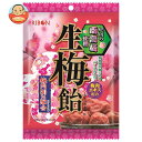 リボン 生梅飴 90g×12袋入×(2ケース)| 送料無料 お菓子 あめ キャンディー 飴 袋