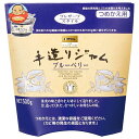 カンピー ザ プレミアム 手造りジャム ブルーベリー つめかえ用 500g×6袋入| 送料無料 ブルーベリー ジャム 手造り 詰め替え ベリー