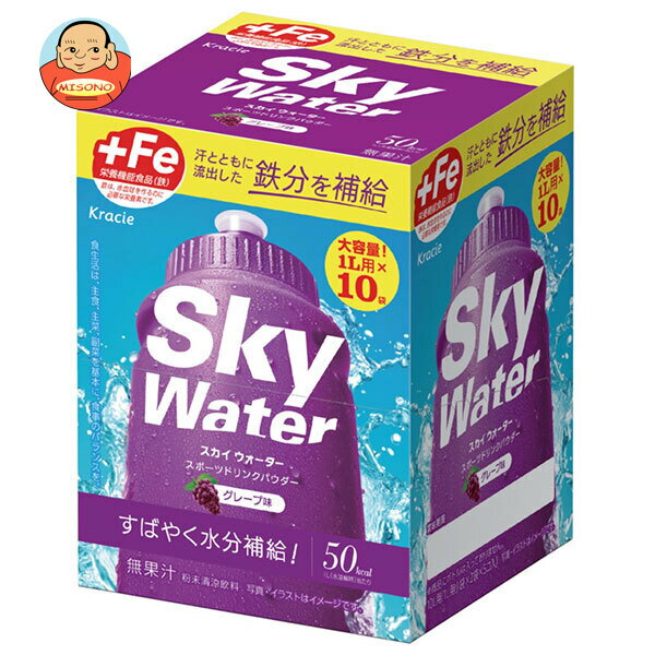 楽天飲料 食品専門店 味園サポートクラシエフーズ スカイウォーター グレープ味 1L用 （14.5g×2×5袋）×1箱入×2箱｜ 送料無料 熱中症対策 カルシウム スポーツドリンク 粉末