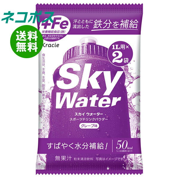 楽天飲料 食品専門店 味園サポート[ポイント5倍！6/27（金）1時59分まで全品対象エントリー&購入]ネコポス クラシエフーズ スカイウォーター グレープ味 1L用 （14.5g×2）×5袋入｜ 全国送料無料 熱中症対策 カルシウム スポーツドリンク 粉末
