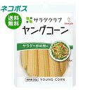 ネコポス キューピー サラダクラブ ヤングコーン 100g×10袋入| 全国送料無料 一般食品 水煮 全形