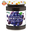 カンピー Fuits×Fruits ブルーベリー 260g瓶×12個入| 送料無料 一般食品 スプレッド ジャム 瓶 ブルーベリー