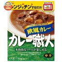江崎グリコ カレー職人 欧風カレー中辛 170g×10個入| 送料無料 一般食品 カレー 保存食 レトルト