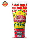 ハグルマ JAS特級 トマトケチャップ 500g×20本入×(2ケース)| 送料無料 トマト ケチャップ JAS 無着色 完熟トマト